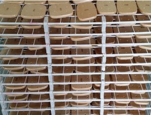 저렴 한 대나무 Freeline 스케이트 고품질을 가진 갑판